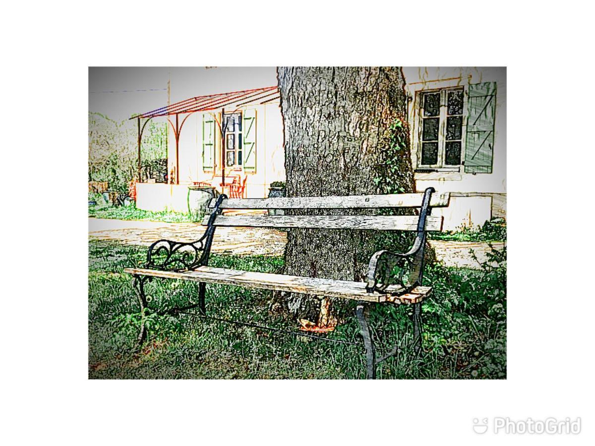 Bed and Breakfast Mas D'Aubrac Limogne-en-Quercy Exterior foto